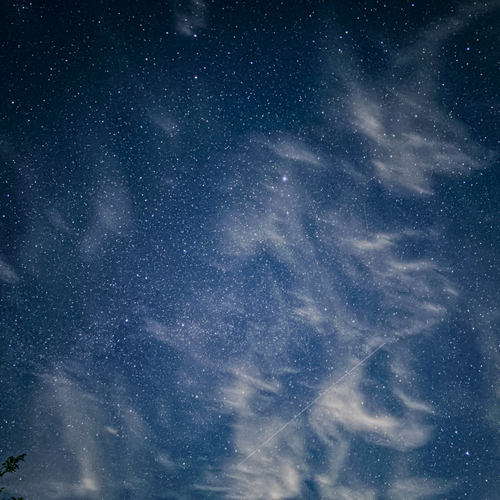 Photo #13766783