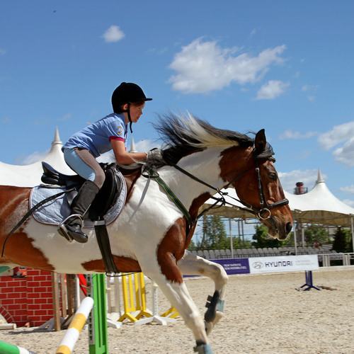 Photo #13766796