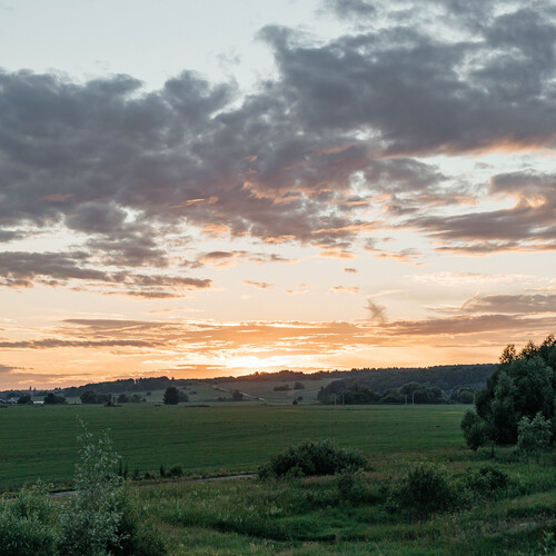 Photo #13766798