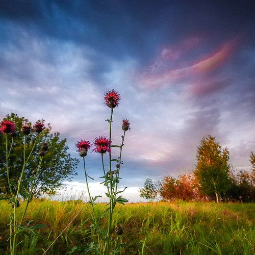 Photo #13766837