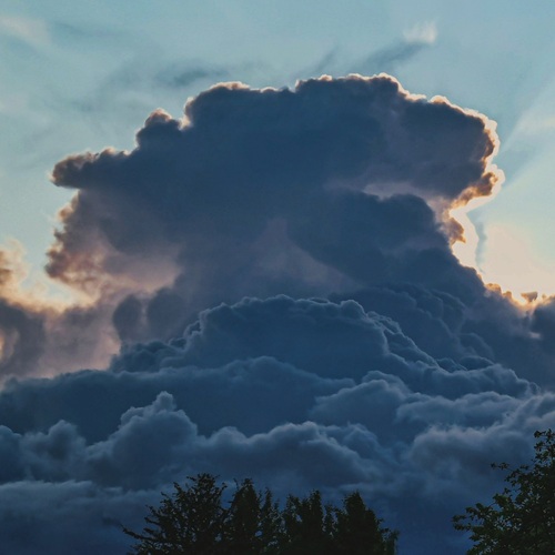 Photo #13766845