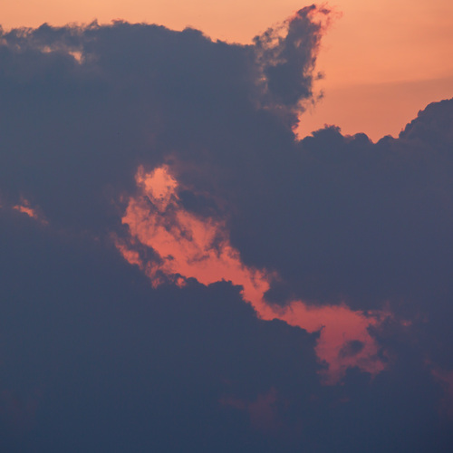 Photo #13766858