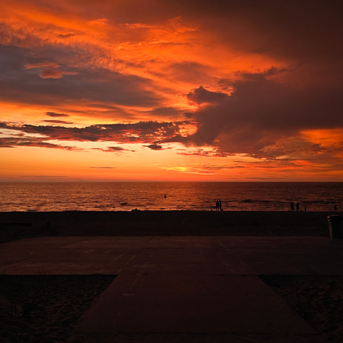 Photo #13766887