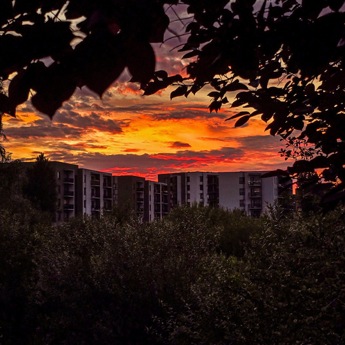Photo #13766906