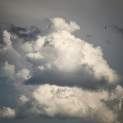 Photo #13766914