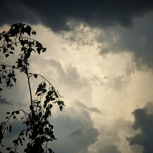 Photo #13766917