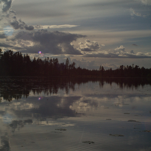 Photo #13766918