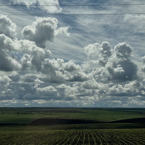 Photo #13766932