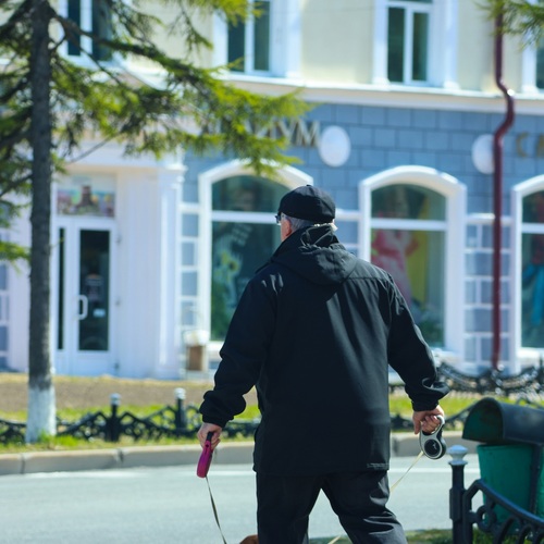 На прогулке