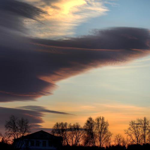 Photo #13766968
