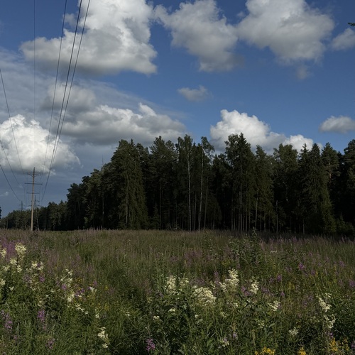 Photo #13767066