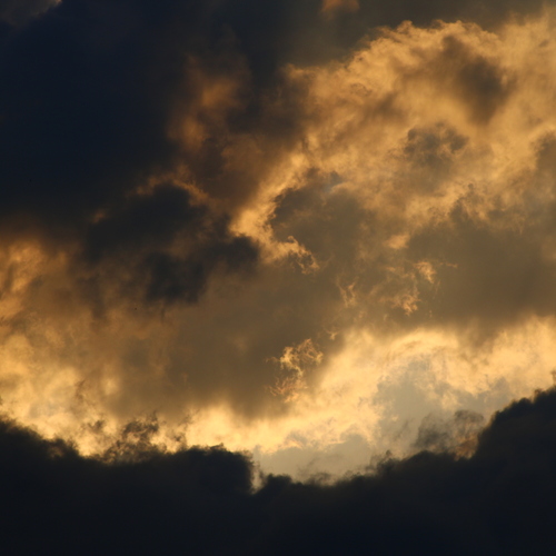 Photo #13767102