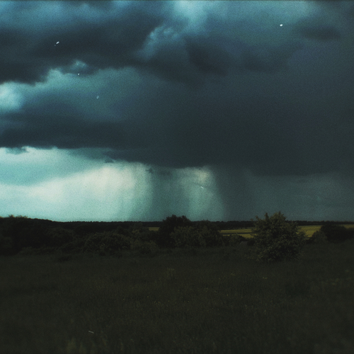 Photo #13767134