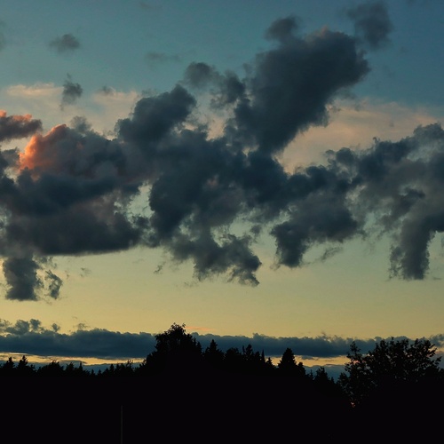 Photo #13767178