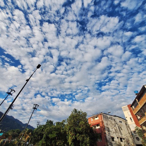 Photo #13767179