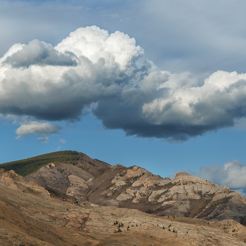 Photo #13767247