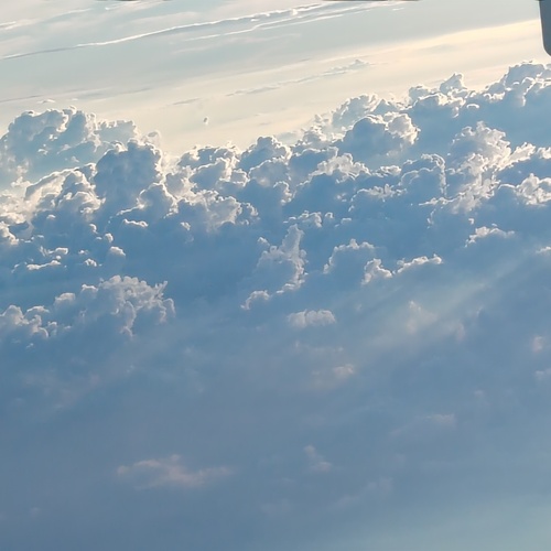 Photo #13767278