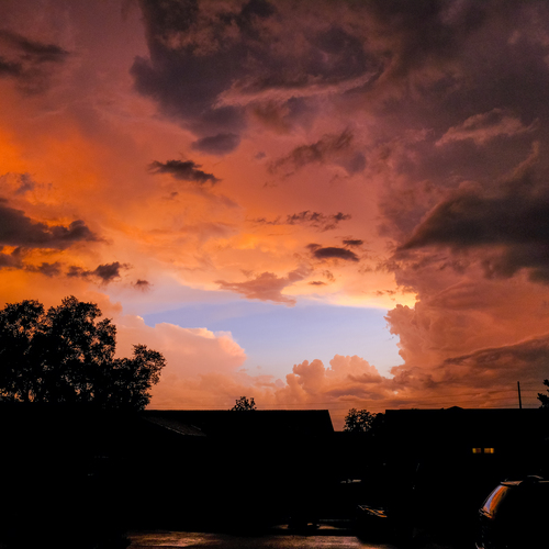 Photo #13767294