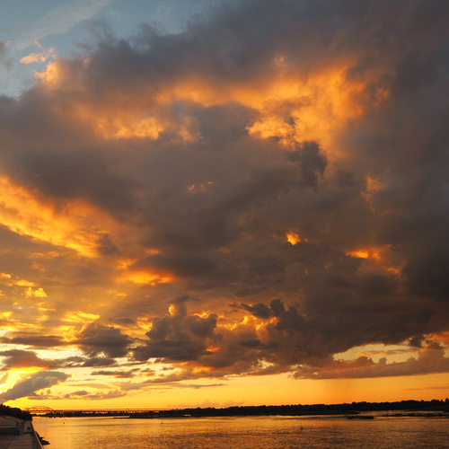 Photo #13767317