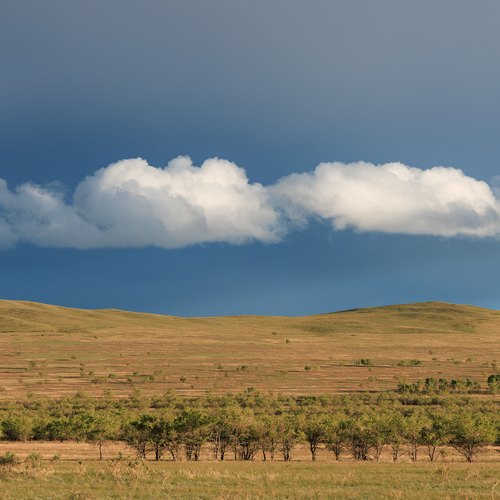 Photo #13767319