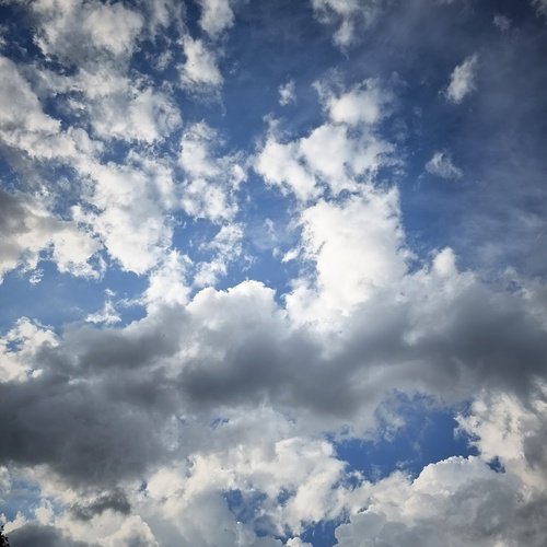 Photo #13767401