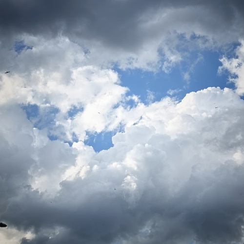 Photo #13767402