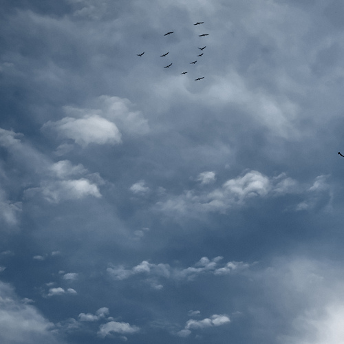Photo #13767435