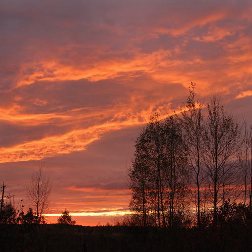 Photo #13767462