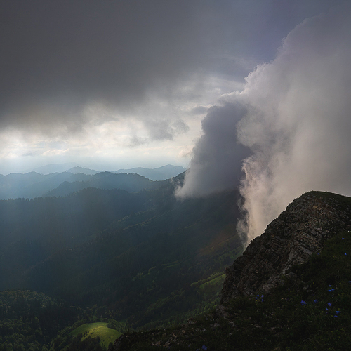 Photo #13767474