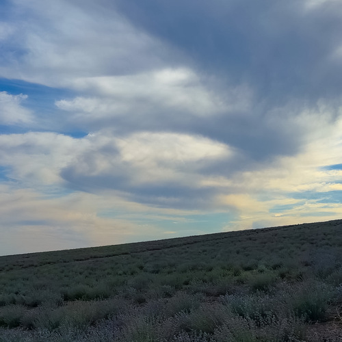 Photo #13767488