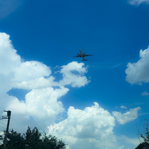 Photo #13767489