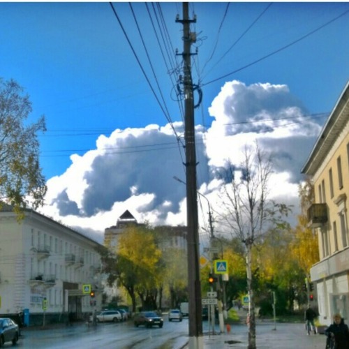 Photo #13767494