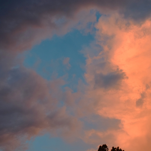 Photo #13767509
