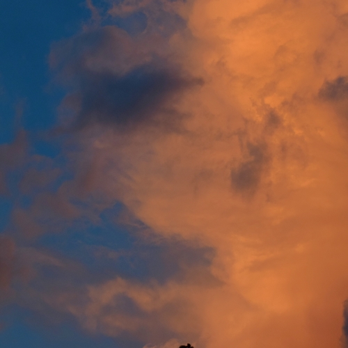 Photo #13767510