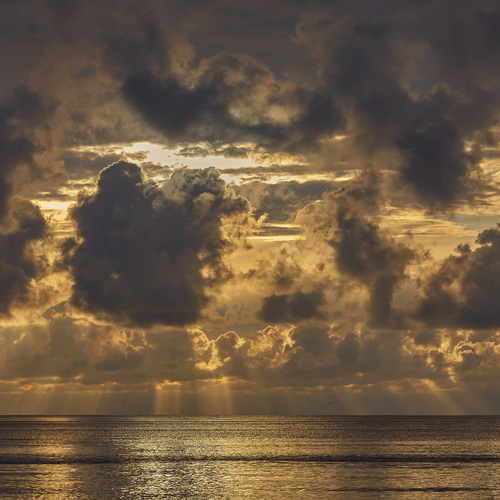 Photo #13767521