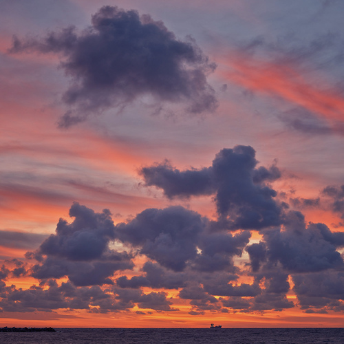 Photo #13767528