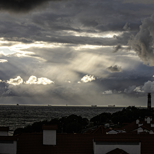 Photo #13767569