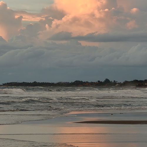 Photo #13767598