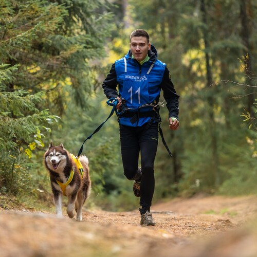 Photo #13767661