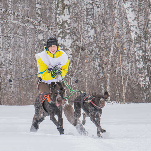 Photo #13767768