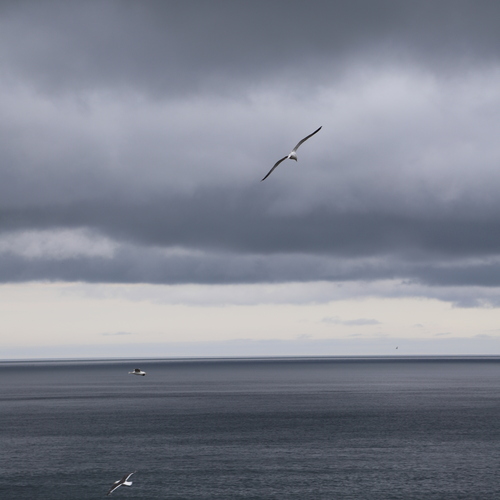 Photo #13767784