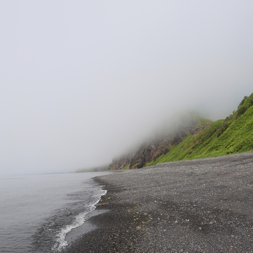 Photo #13767785