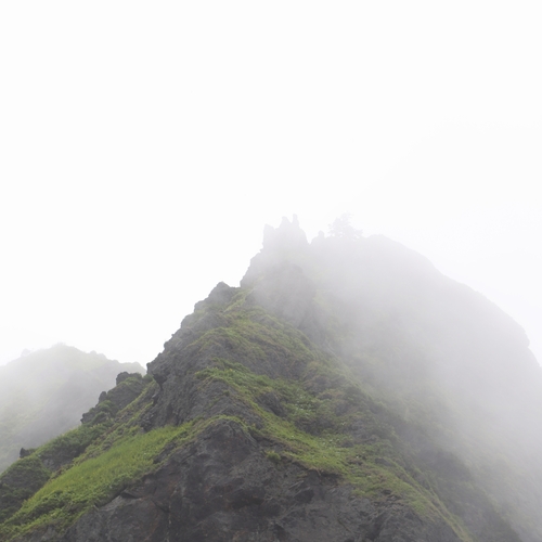 Photo #13767786