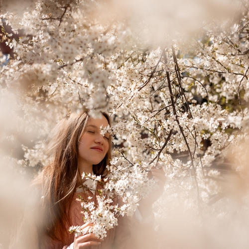 Photo #13767812