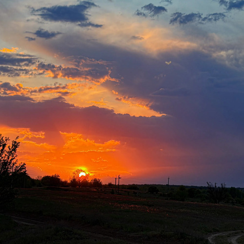 Photo #13767839