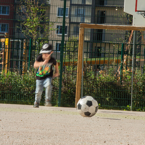 Photo #13767863