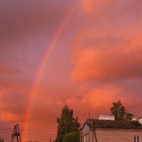 Photo #13767894