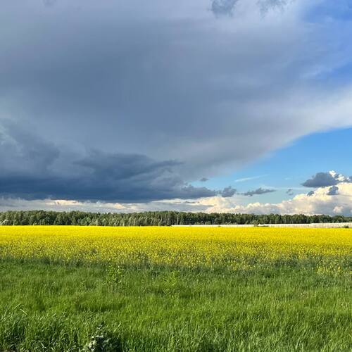 Photo #13767896