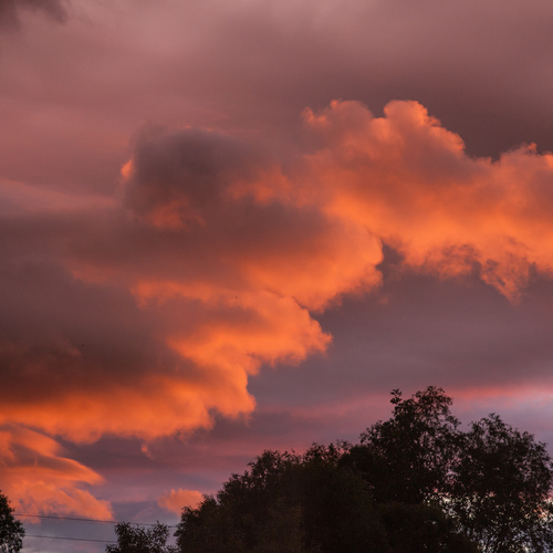 Photo #13767899