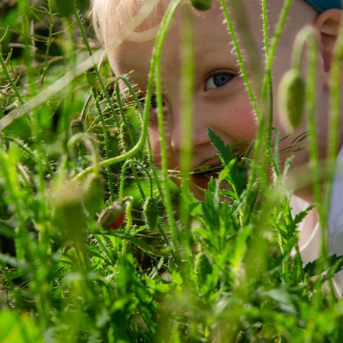 Photo #13767910